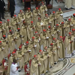 Papa Lav XIV. okuplja kardinale na izvanrednom konzistoriju 7. i 8. siječnja